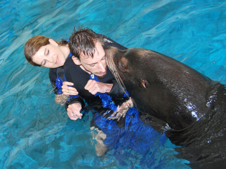 Sergio schwimmt mit Otto und Cäsar