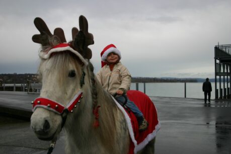 Dezember 2005 - Ponyreiten Weihnachtsmarkt Steckborn