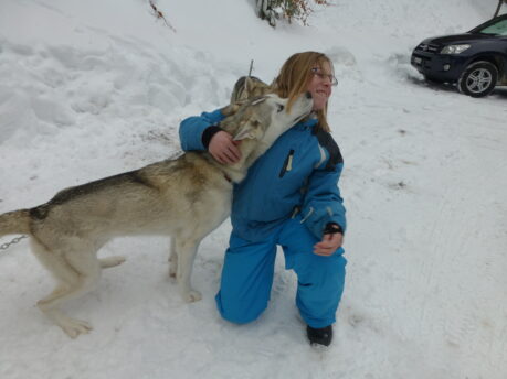 Rahel file sur la neige avec les chiens de traineaux 