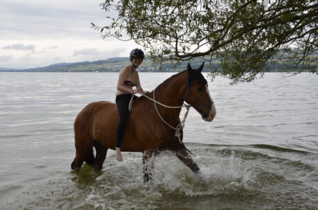 Eliane reitet im Galopp um den Sempachersee