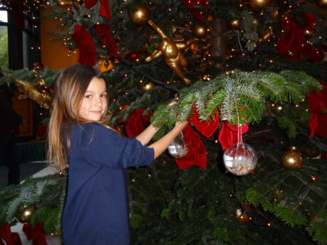 Weihnachtsbaum mit  Maxime, Hotel Victoria-Jungfrau, Interlaken