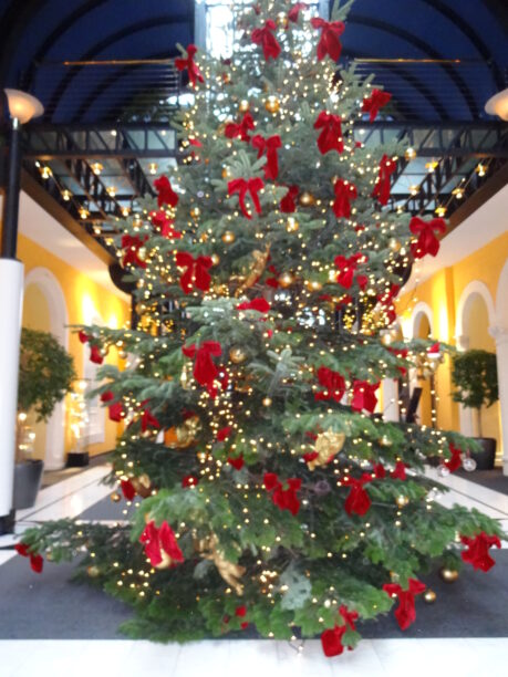 Weihnachtsbaum Hotel Victoria-Jungfrau, Interlaken