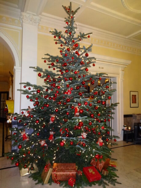 Weihnachtsbaum Hotel Eden au Lac, Zürich